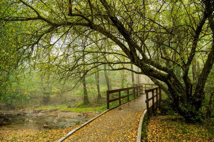 Parco Naturale del Montseny