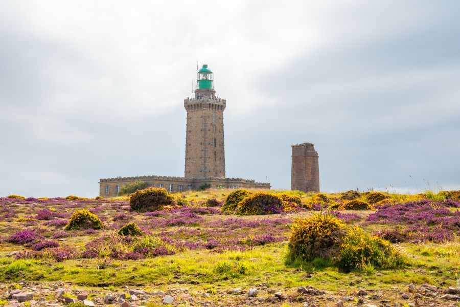 Cap Fréhel