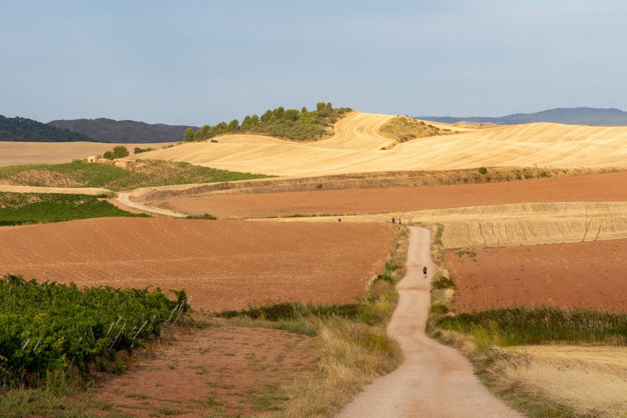 Cammino di Santiago