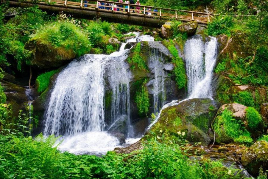 Tour della Foresta Nera, Alsazia e Svizzera [6]